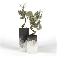 Omli Tree Olive_Tree_III