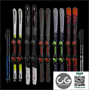 Alpine skiing and sticks