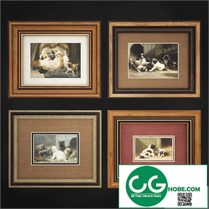 Frames