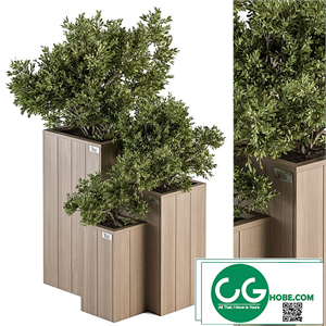 Outdoor Plant Set 298