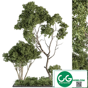 Garden Set Broadleaf Tree