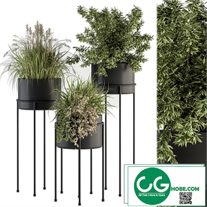 indoor Plant Set 370