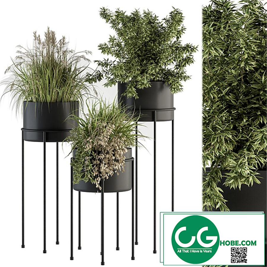 indoor Plant Set 370