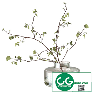 Branches in a vase