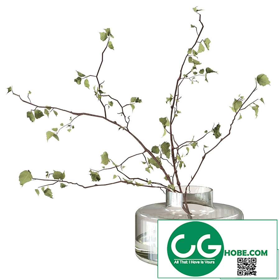 Branches in a vase