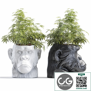 Ape Head Planter