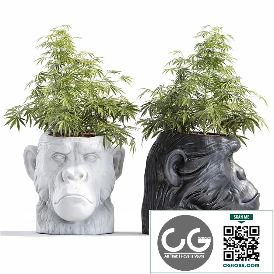 Ape Head Planter