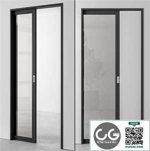 Glass Pocket Door - Set 51