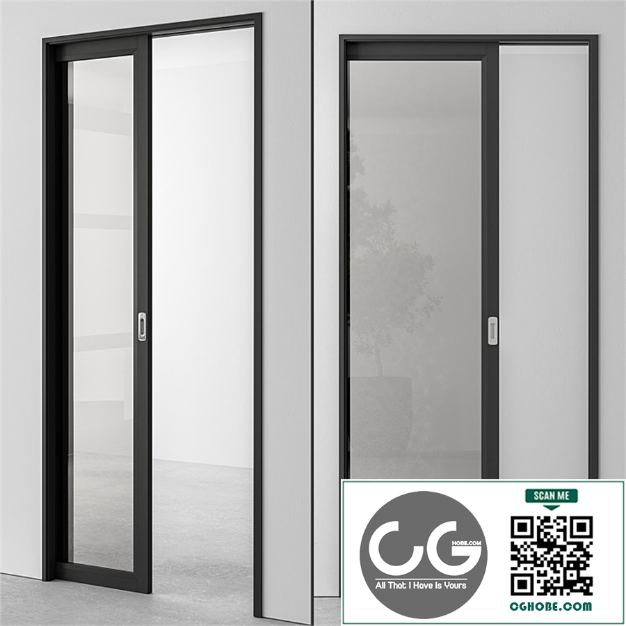 Glass Pocket Door - Set 51