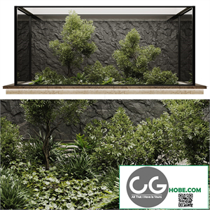 indoor plant set 50