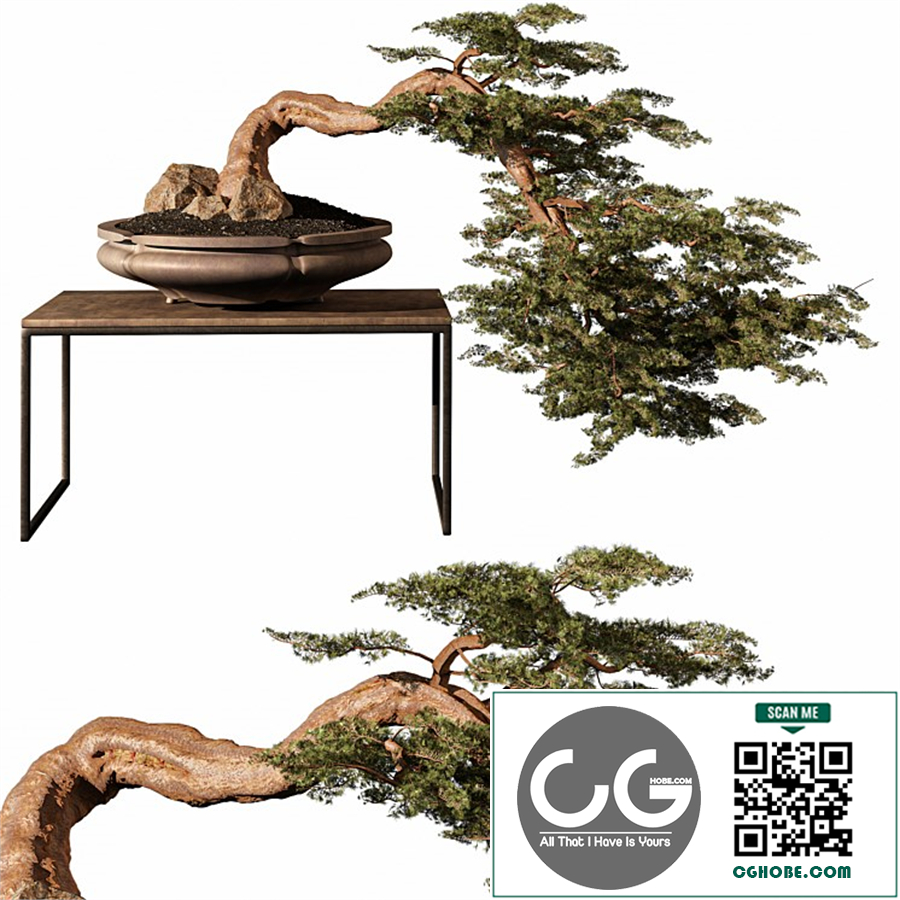 indoor Plant 254