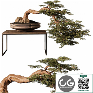 indoor Plant 254