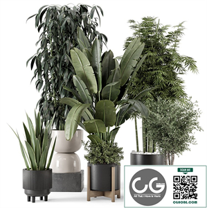 Indoor Plants in Ferm Living Bau Pot Large
