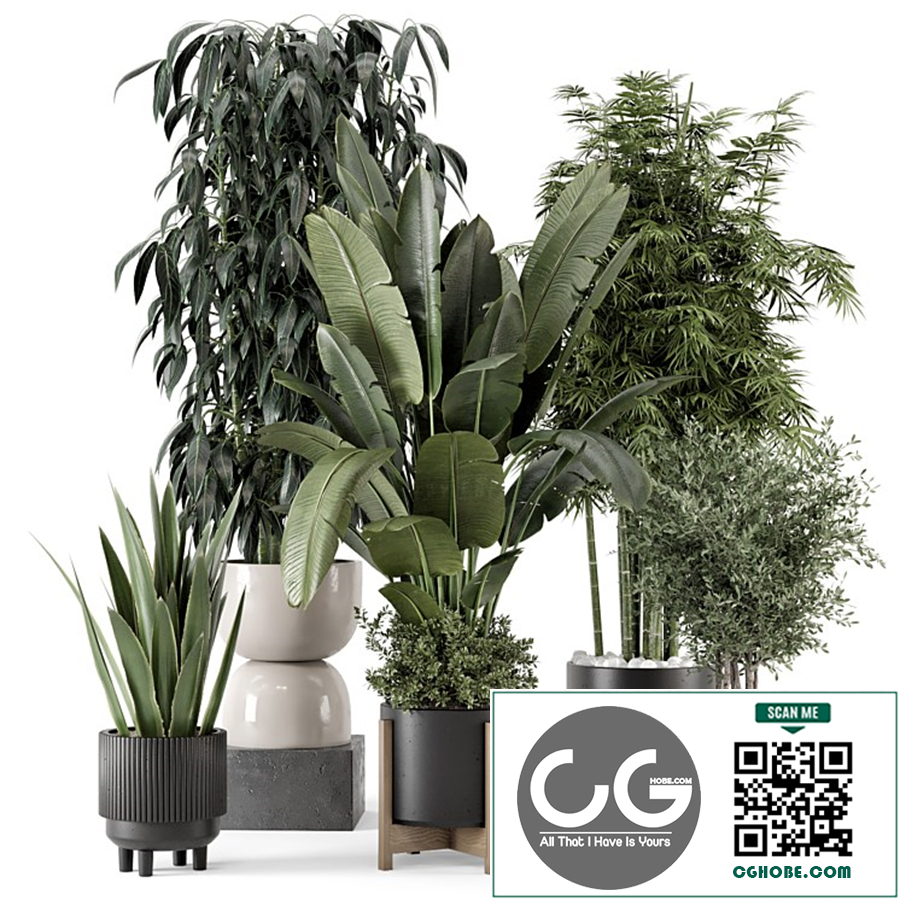 Indoor Plants in Ferm Living Bau Pot Large