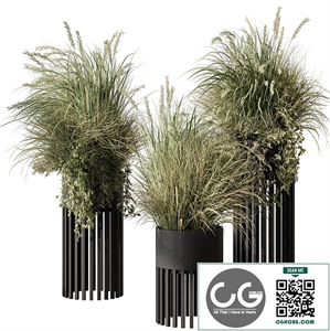 indoor Plant 500