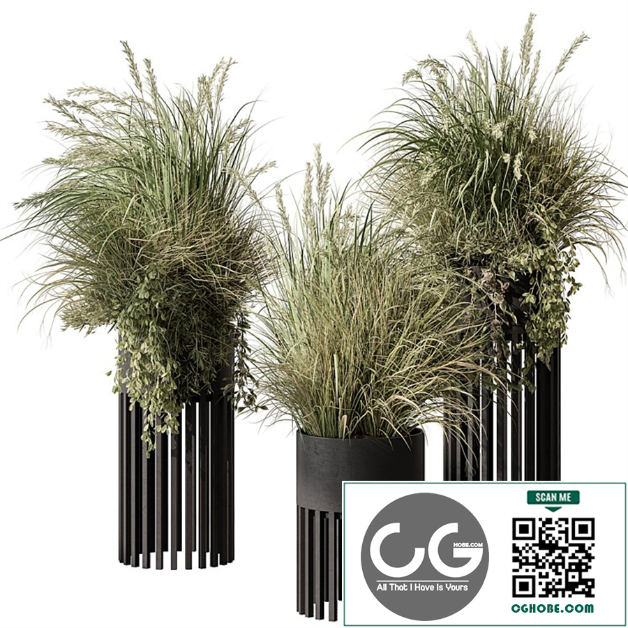 indoor Plant 500