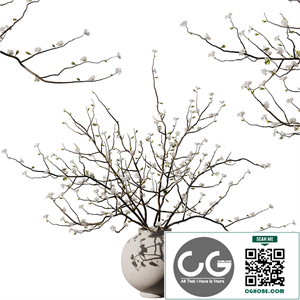 Dry Flower Branche Bouquet