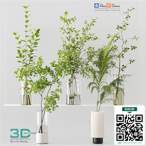 Collection Indoor Plants 028