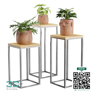 Facepot Terracota Plant Set