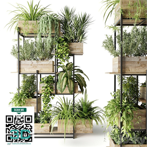 Metal rack with plants in wooden boxes