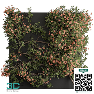 Outdoor Plant Set 426- Ivy on Wall