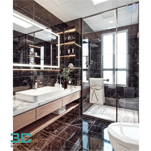 Bathroom Scene