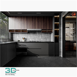 Kitchen Scene
