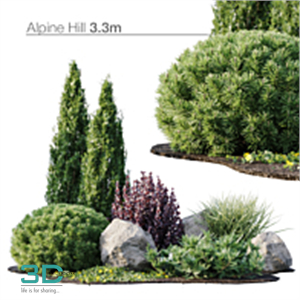 Plant flowers and plants