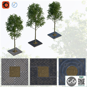 Trees and lattice