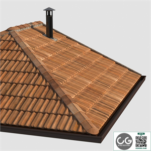 French tile roof