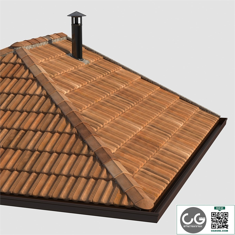 French tile roof