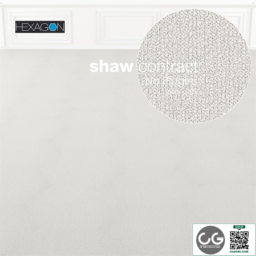 Shaw Carpet Hexagon Plane No: 2