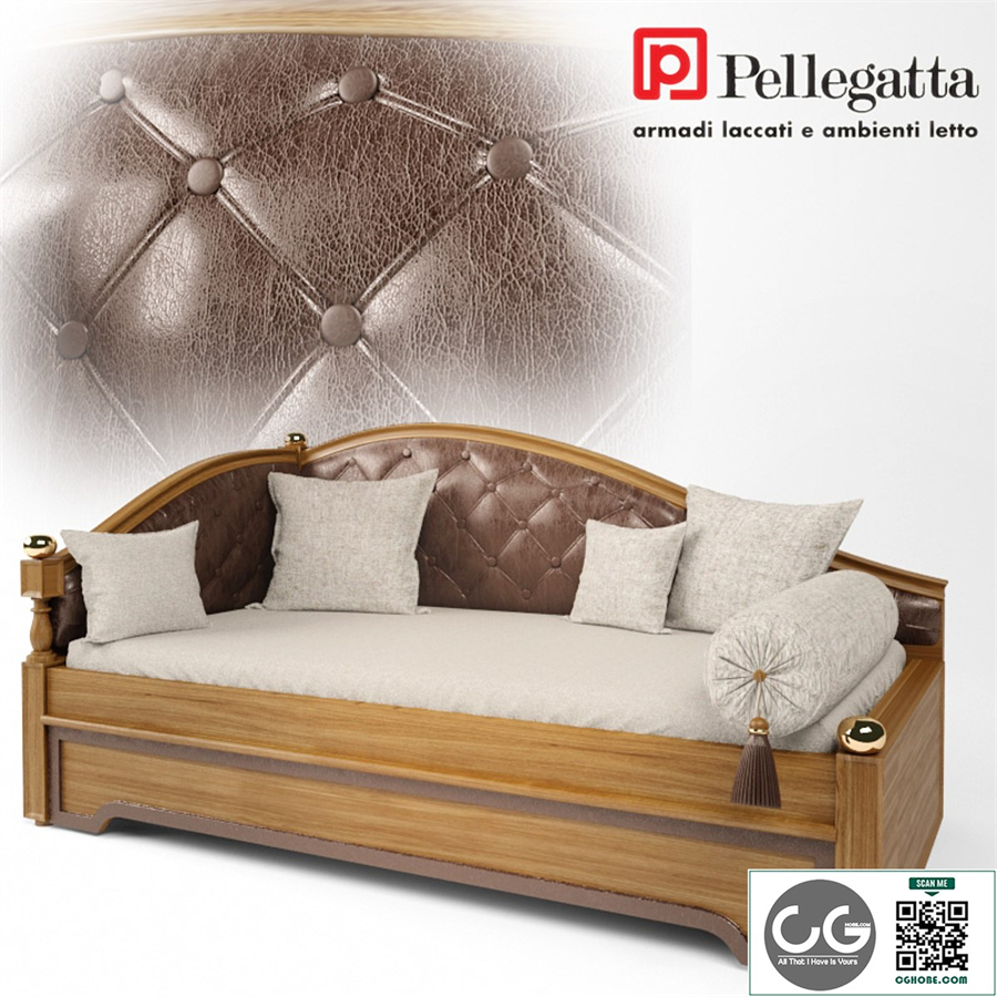 Pellegatta