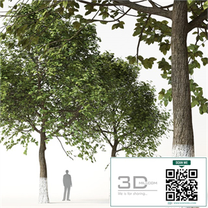 Trees 2