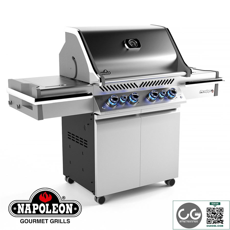 Grill Napoleon PRO 500
