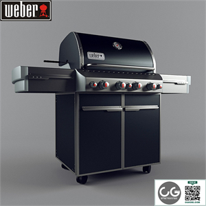 grills WEBER
