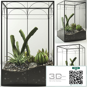 Plants