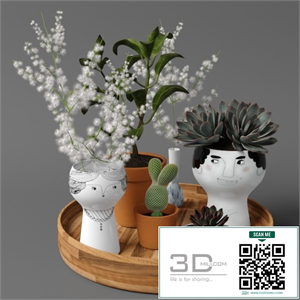 Plants tree 41