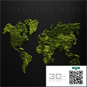 Stabilized moss - world map