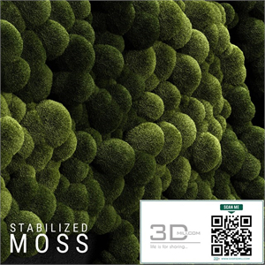 Stabilized Moss 3