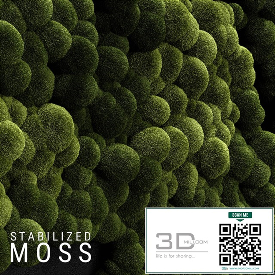 Stabilized Moss 3