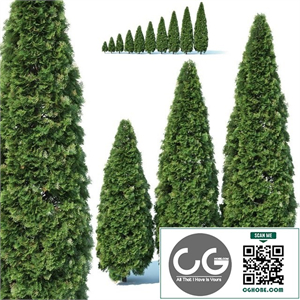 bush