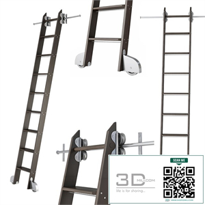 Ladder for home library