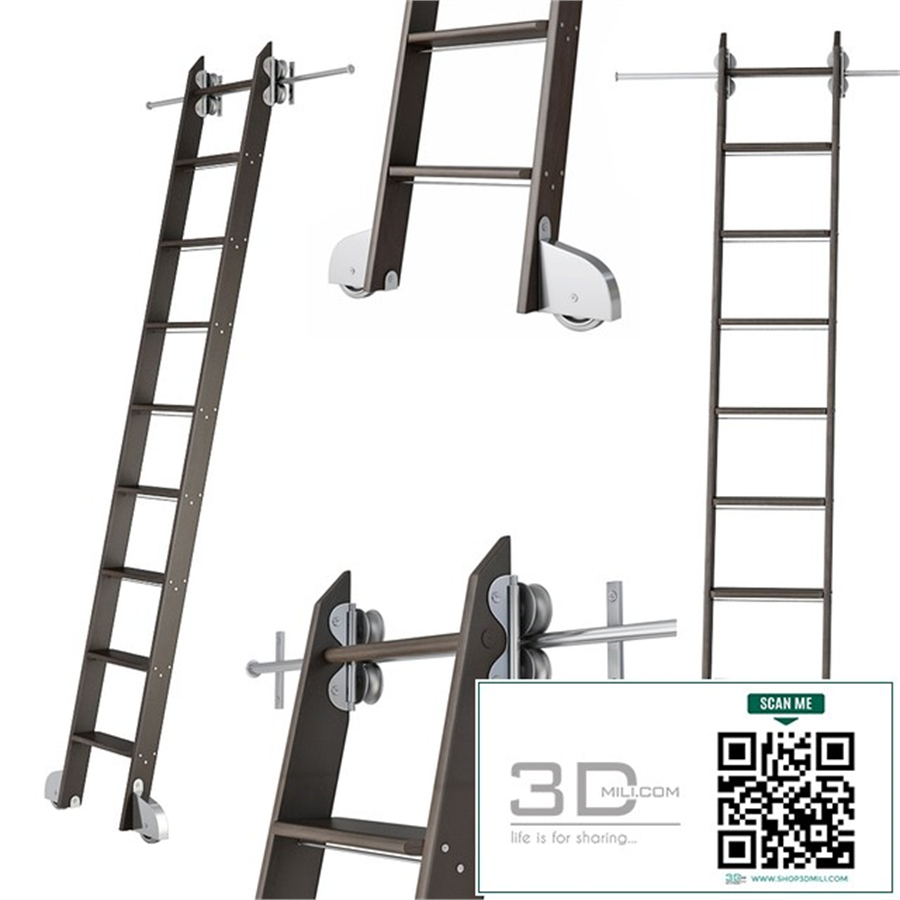 Ladder for home library