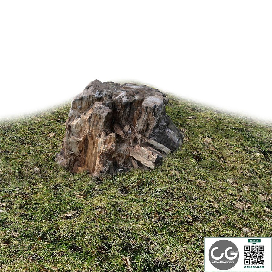 Stump, wood exterior
