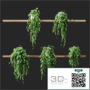 Potted plants on shelves