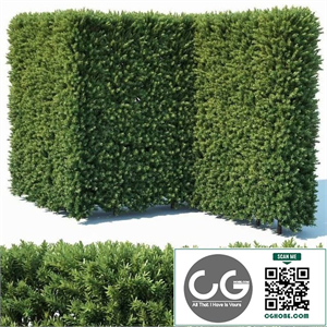 bush