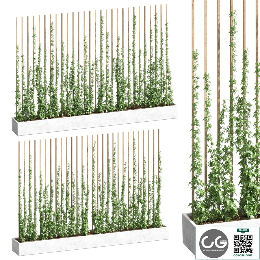 Ivy partition