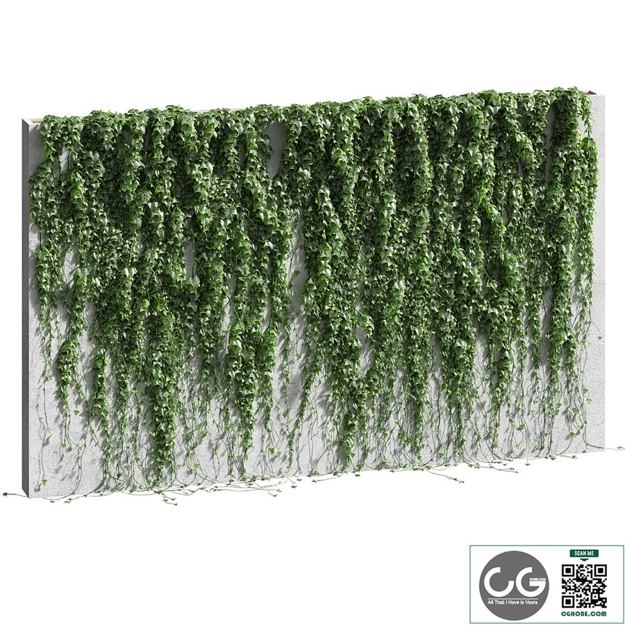 Ivy for the fence v2
