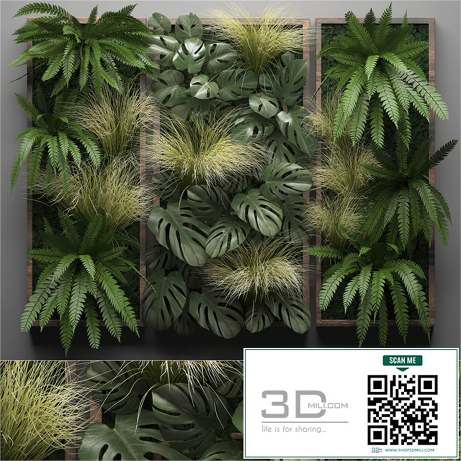 Vertical garden 28. Phytowall, picture, grass, fern, monstera, wall decor, phytomodule, vertical garden